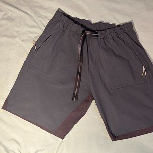 Lululemon Athletic Shorts | Men’s Size L | Navy/Plum